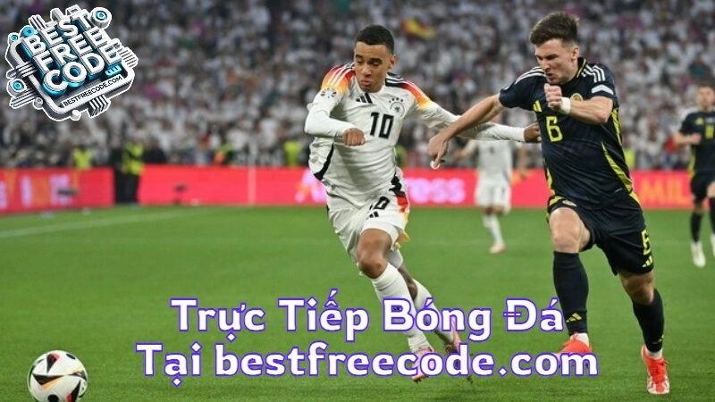 Trực Tiếp Bóng Đá Hấp Dẫn Nhất Tại bestfreecode.com